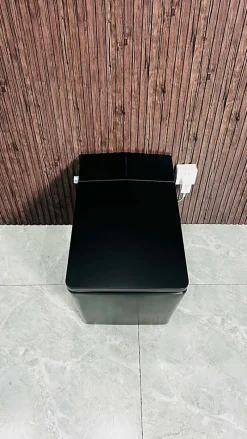 Toilette japonaise moderne Shinobi