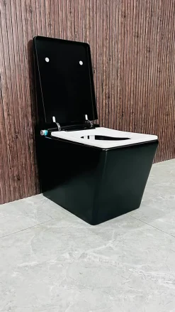 Toilette japonaise moderne Shinobi