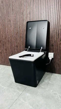 Toilette japonaise moderne Shinobi