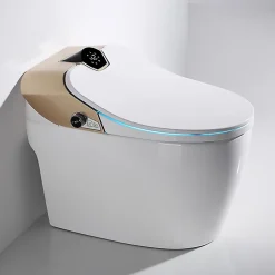 Toilette japonaise moderne Samourai
