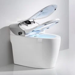 Toilette japonaise moderne Samourai