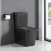 Toilette WC à poser BRAGADO en ceramique noir mat