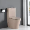 Toilette WC à poser CIPOLI en ceramique beige mat