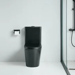 Toilette WC à poser CIPOLI en ceramique noir mat