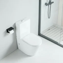 Toilette WC à poser CIPOLI en ceramique