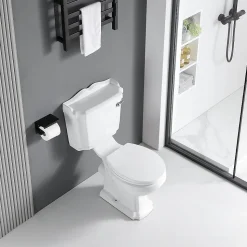 Toilette WC à poser retro CHERY en ceramique