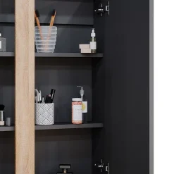 Vicco Armoire de toilette Anthracite 70.4x84cm avec 2 portes