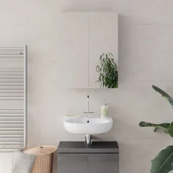 Vicco Armoire de toilette Anthracite 60x77cm
