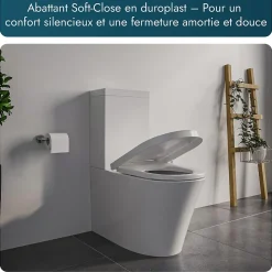 WC à poser CT1099 - arrivée d'eau en haut - avec abattant Soft-Close