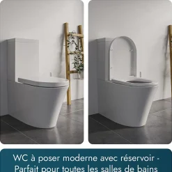 WC à poser CT1099 - arrivée d'eau en haut - avec abattant Soft-Close