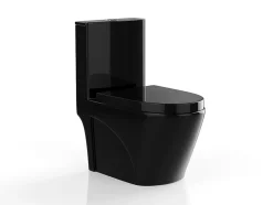 WC à poser noir brillant en céramique - Evacuation verticale - NAGILAM