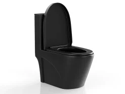 WC à poser noir mat en céramique - Evacuation verticale - NAGILAM