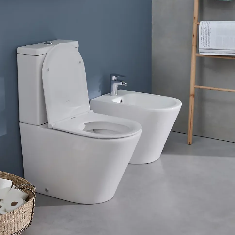 WC à poser sans bride sortie universelle JACOB DELAFON Rodin+ avec abattant frein de chute