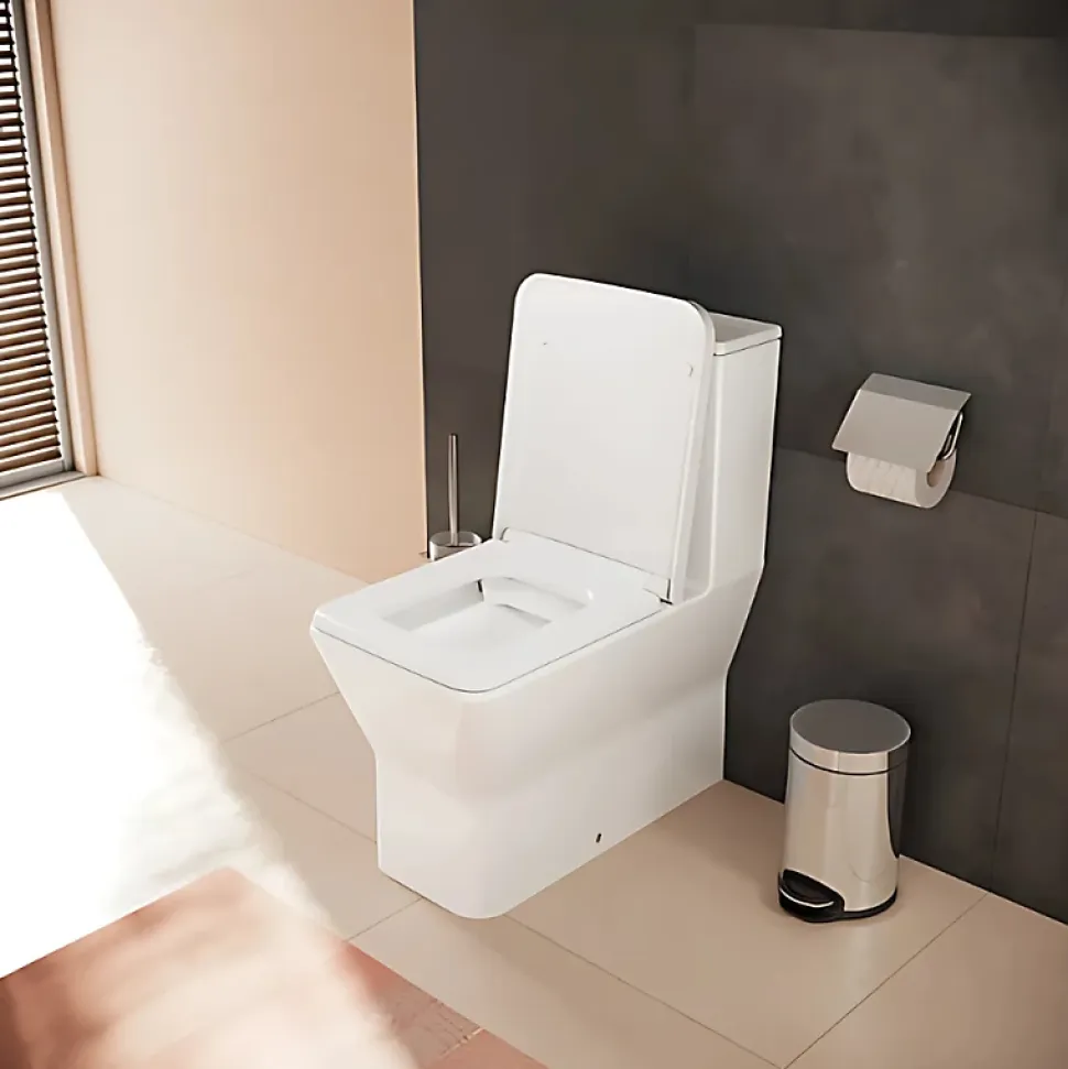 WC à poser sans bride sortie universelle HANSGROHE Elupura Original Q avec abattant