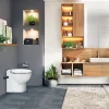 WC broyeur avec abattant Sanicompact Leader SFA + bidon détartrant 2L offert