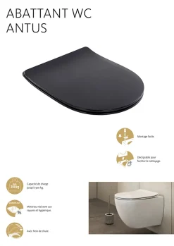 Wc Déclipsable Schulte - Avec Frein De Chute - Lunette Et Couvercle - Duroplast - Noir
