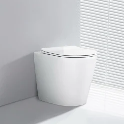 WC EN PORCELAINE WALL HUNG - SUR PIEDS BLANC