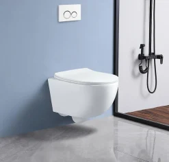WC EN PORCELAINE WALL HUNG - SUSPENDU BLANC