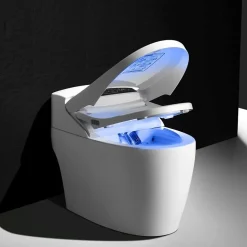 WC Japonais Monobloc TopToilet Luxe Platinium 2 Plus