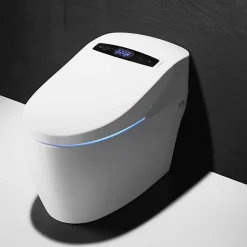 WC Japonais Monobloc TopToilet Luxe Platinium 2 Plus
