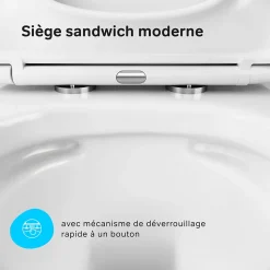 WC suspendu céramique sans bride cuvette WC suspendu sans bord FlashClean abattant amov. frein chute softclose blanc AM.PM Gem