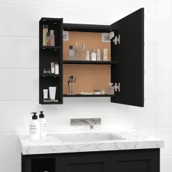 ZMH Armoire à miroir avec LED noir 70x16,5x60 cm