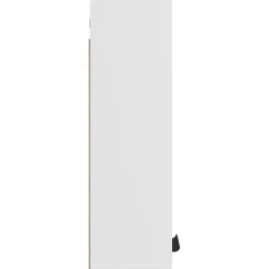 ZMH Armoire de salle de bain murale Blanc 32x20x67 cm